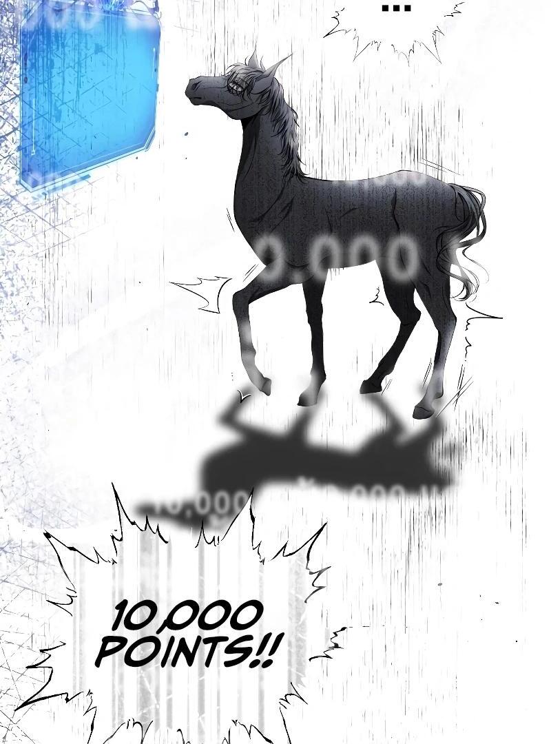 74288331 800 1080 110746